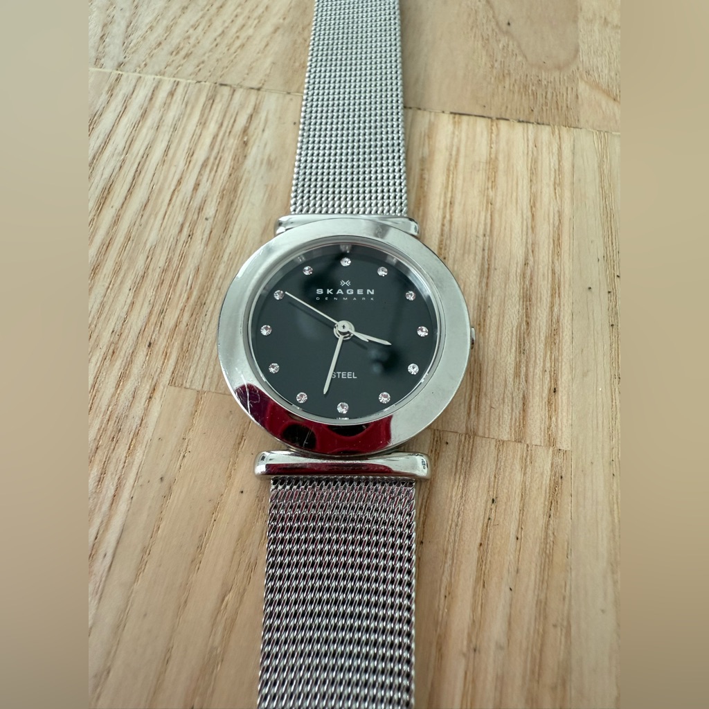 Skagen Steel Ladies Black Dial Stainless Steel Watch New Battery